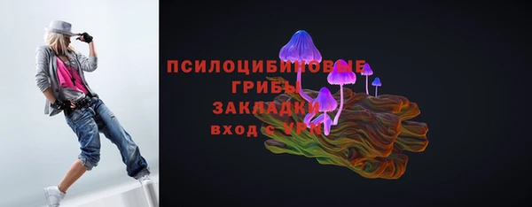шишки Алзамай