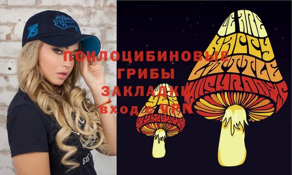 шишки Алзамай