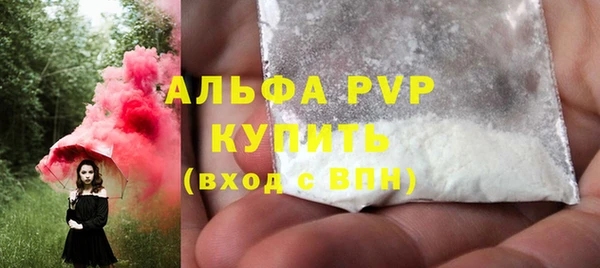 шишки Алзамай