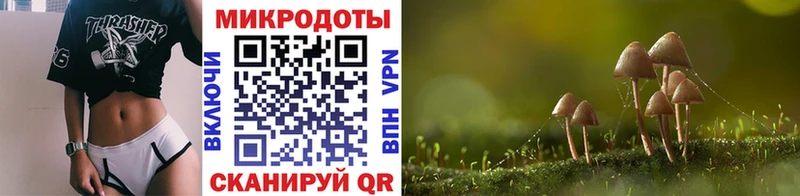Псилоцибиновые грибы Psilocybine cubensis  OMG зеркало  Курчалой 